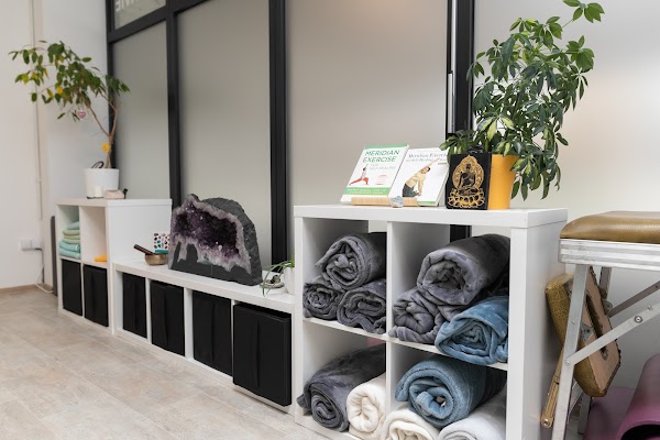 Body and Brain Slovakia