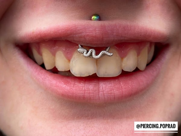 PIERCING POPRAD-NIKI SILVER