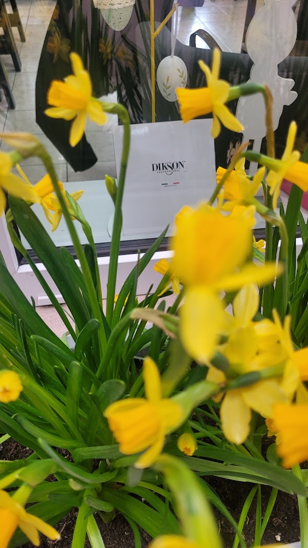 MasterHair salón krásy, kaderníctvo