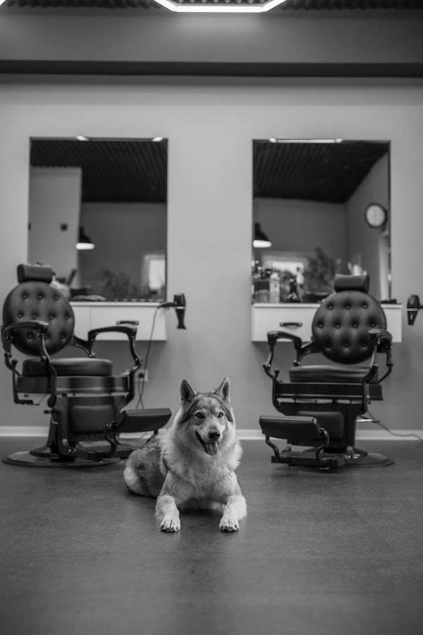 Wolf Brothers barbershop