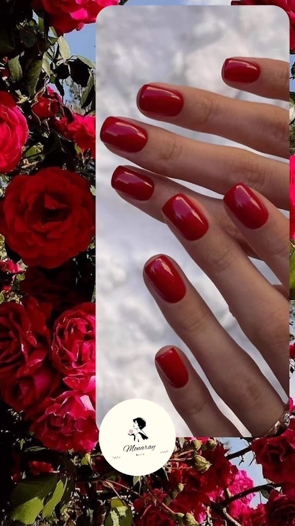 Nechtové štúdio Monaray