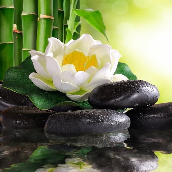 Masážny salón - La Santé