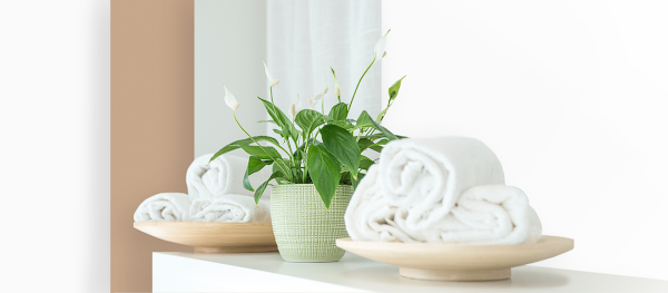 Restore Studio - masáže