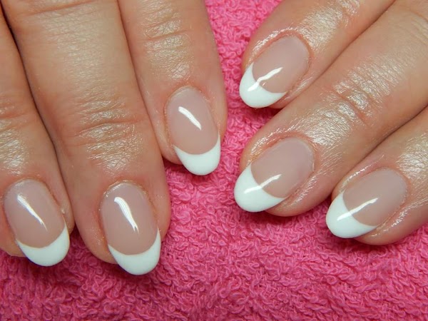 Kurz Manikér a Nechtové štúdio